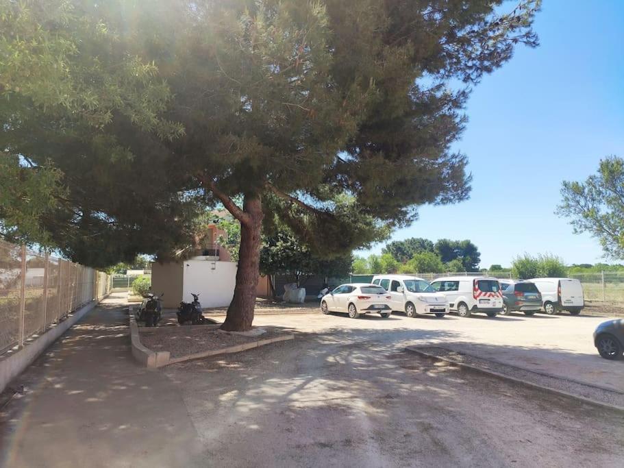 Harmonie Du Sud Daire Le Grau-dʼAgde Dış mekan fotoğraf