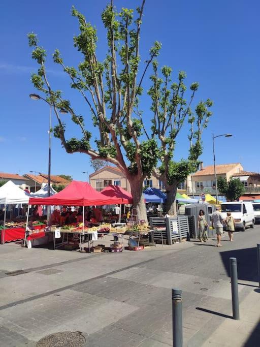 Harmonie Du Sud Daire Le Grau-dʼAgde Dış mekan fotoğraf